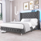 Hlivelood Queen LED Upholstered Bed Frame with Wingback Headboard, Velvet Diamond Button Tufted Bed Frame w/USB&Type-C Ports, Pocket and LED Lights, Wood Slats Support, No Box Spring Needed, Dark Grey Hlivelood