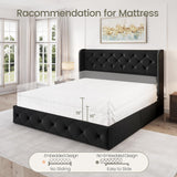 LARMACE Queen Size Bed Frame with 4 Storage Drawers and Wingback Headboard Upholstered Platform Beds Velvet Tufted Bed Frame with Wooden Slats Support, Easy Assembly, Black LARMACE