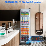 BODEGACOOLER Commercial Merchandiser Refrigerator,12.5 Cu.Ft Glass Door Display Refrigerator,Upright Commercial Beverage Display Cooler with Soft LED Light,Adjustable Shelves,Black BODEGA