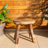 Greenage Cedar Roots Stool Naturally Shaped A-Leg, Medium, 15" x 12" x 13.8" H Wood Stump Side Table Stand Home Décor End Table Greenage