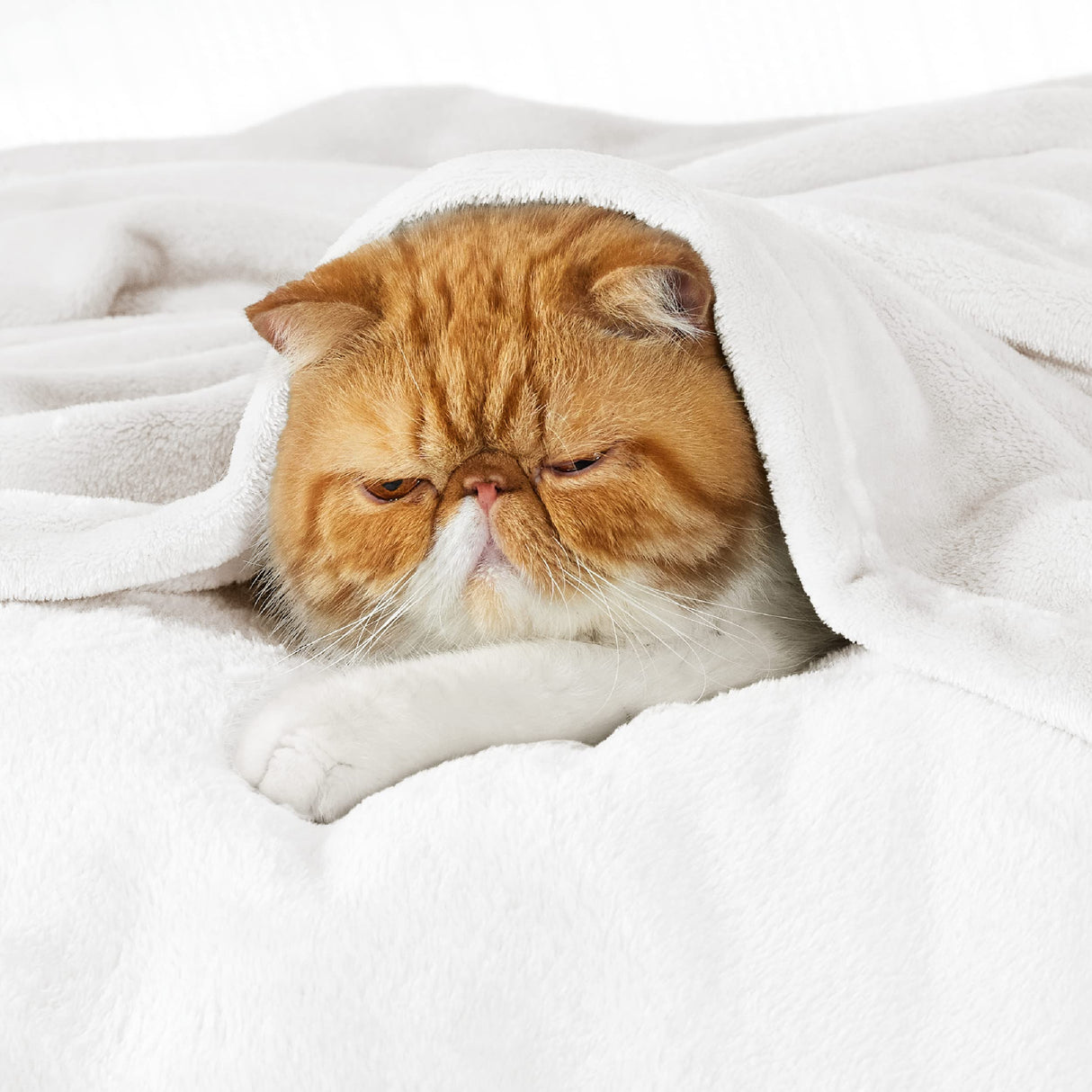 Bedsure White Fleece Blanket Throw Blanket - 300GSM Throw Blankets for Couch, Sofa, Bed, Soft Lightweight Plush Cozy Blankets and Throws for Toddlers Bedsure