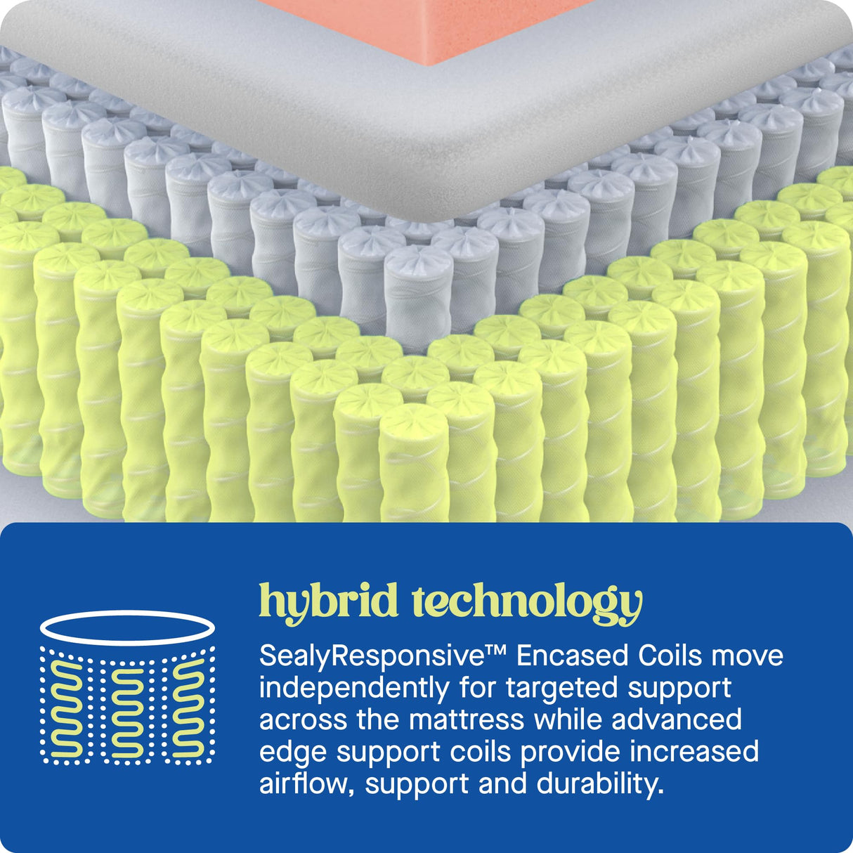 Sealy Dreamlife 14” Hybrid Mattress-in-a-Box, Queen, SealyComfort Gel Memory Foam, SealyResponsive Encased Coils, Machine Washable Cover Sealy