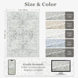 Jainmy Distressed Farmhouse 5x7 Area Rugs for Living Room Bedroom Non Slip Washable, Medallion Pattern Printed Low Pile Thin Carpet Rugs for Dining Room/Kitchen/Home Office, Off White/Grey Jainmy