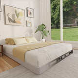 FMDMR 4 Inch Queen Box Spring, Low Profile Box Spring Queen Only, Heavy Duty Mattress Foundation Metal Bed Base with Fabric Cover, Easy Assembly, Non-Slip, Noise Free FMDMR