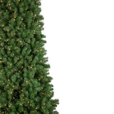 Northlight 16' Pre-Lit Pendleton Spruce Slim Artificial Christmas Tree, Clear Lights Northlight