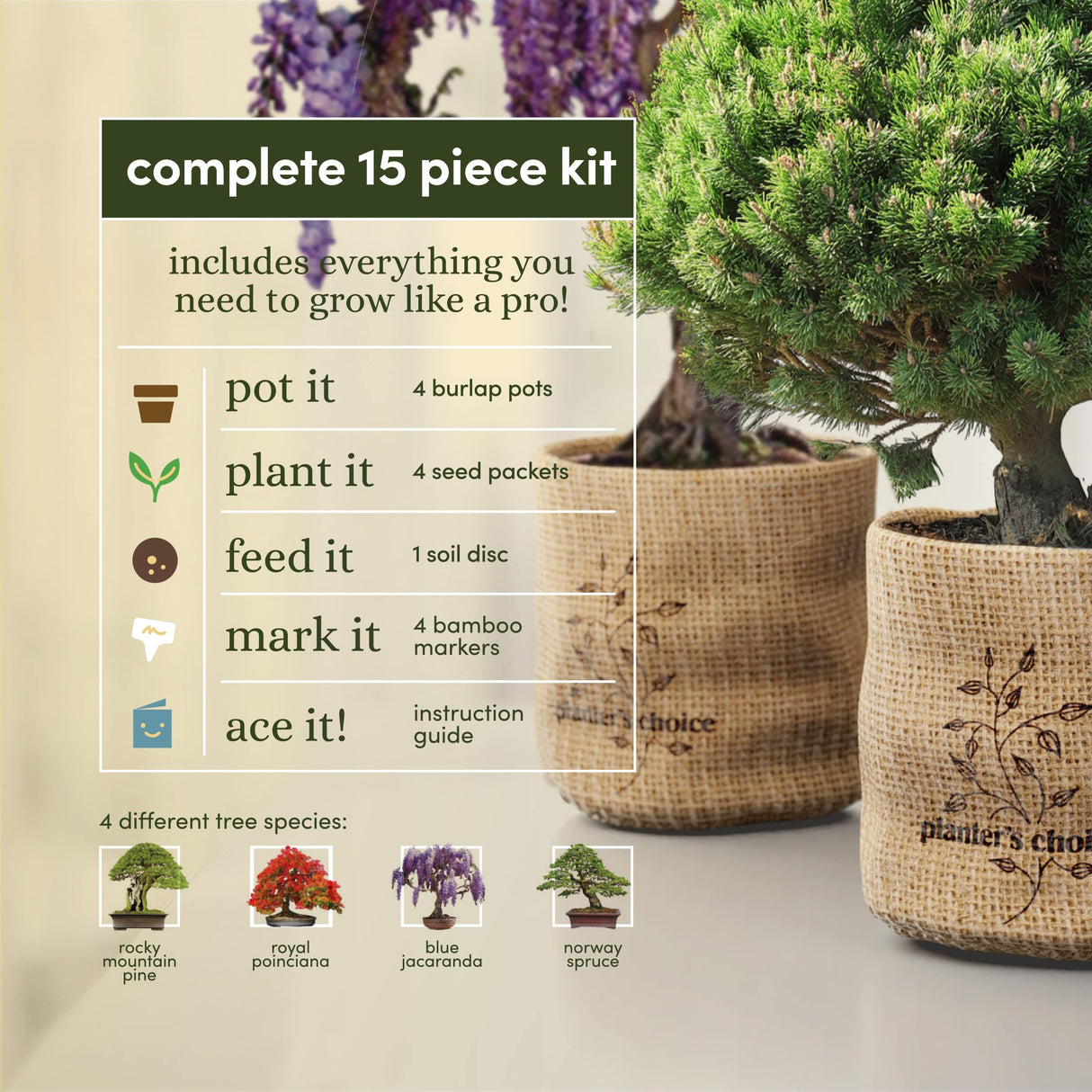 Bonsai Starter Kit - Gardening Easter Gift for Women & Men - Bonsai Tree Growing Garden Crafts Hobby Kits for Adults, Unique DIY Hobbies for Plant Lovers - Unusual Christmas Gifts Ideas Planters' Choice