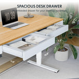 FLEXISPOT 55 x 24 Inch with Double Drawers Q5 Standing Desk, Electric Adjustable Height Stand Up Desk with 4 Preset Heights Whole Piece Wooden Desktop for Home, Office, Workstation, Maple FLEXISPOT