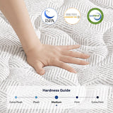 Queen Mattress 12 inch Hybrid Mattress Queen Size - Individual Pocket Box Spring Memory Foam Mattress in a Box for Bed - Medium Firm Feel Back Support Mattress for Pressure Relief with CertiPUR-US VKT