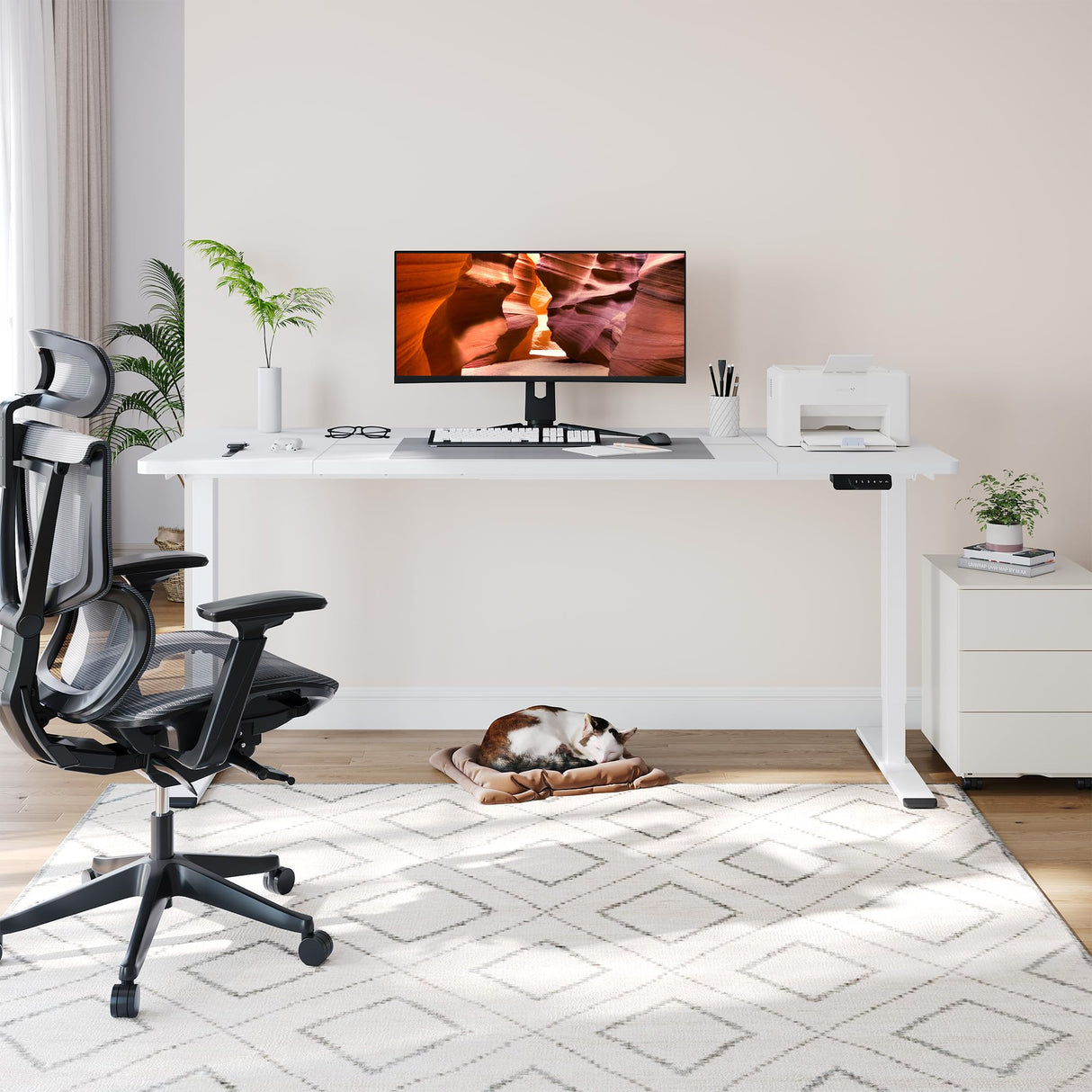 FitStand Dual Motor Standing Desk, Large Stand Up Desk, 79x31 Inches Electric Sit Stand Desk, 4 Memory Preset Adjustable Height Desk Home Office Desks(White) FitStand