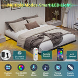 Hasuit Modern Floating Metal Queen Bed Frame with LED Lights - No Box Spring Required Hasuit