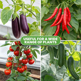 Tomato Cage - Trellis Stakes and Plant Support Structures for Vegetables and Climbing Plants - Tall Tomato Cages for Garden, Pots, Raised Garden Bed Outdoor (3 Pack - Up to 48 Inches) K-Brands