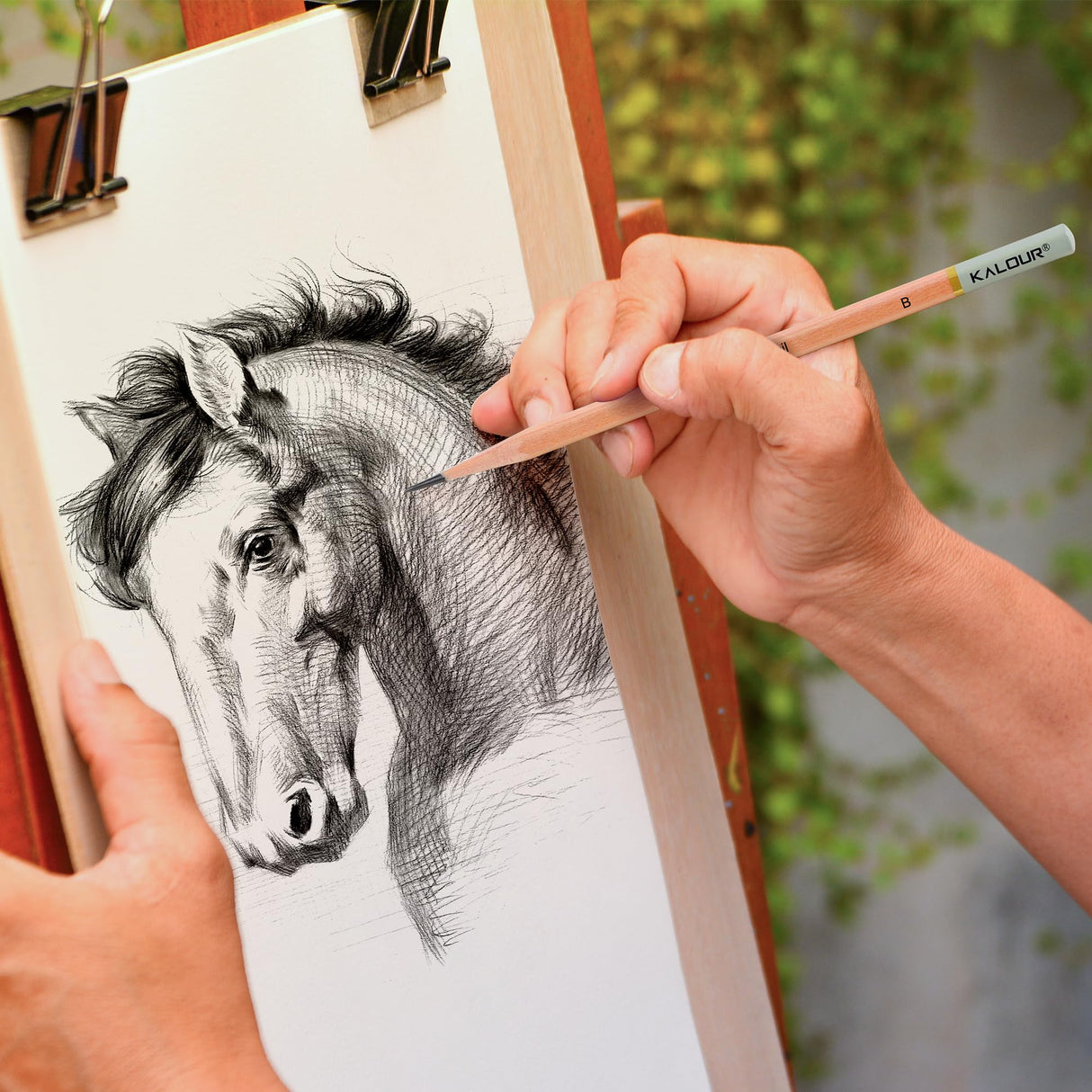 KALOUR 25-Piece Professional Sketch Pencil Set with Matte and Regular Pencils - Includes Vinyl Eraser, Kneaded Eraser, Sharpener, Pencil Extender and Blending Stump - Ideal for Artists and Beginners KALOUR