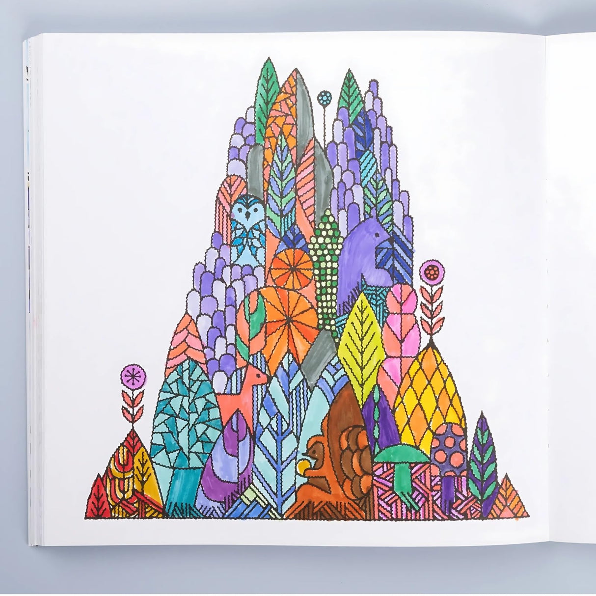 Woodland Kingdom Coloring Book: 65+ Whimsical Designs for Creativity & Relaxation (Coloring Art)