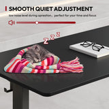 SANODESK Electric Standing Desk 40 x 24 Inches Whole-Piece Desktop Height Adjustable Stand Up Desk w/6-Button Controller Ergonomic Computer Desk for Home Office, Black Frame + Black Tabletop SANODESK