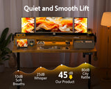 WALKINGDESK 48x24 Inches Electric Standing Desk with 2 Drawers, Height Adjustable Stand up Desk for Home Office, Ergonomic Sit to Stand Desk with Storage Shelf, DIY Board, Hooks, Rustic Brown WALKINGDESK