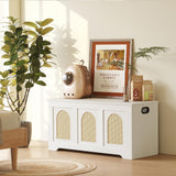 DINZI LVJ Storage Chest, 39.4" Rattan-Like Storage Box with 2 Safety Hinges, Wooden Entryway Shoe Bench with Flip-Top, Trunk for Living Room, Bedroom, Easy Assembly, White and Natural DINZI LVJ