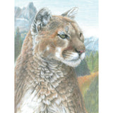 Royal Brush Color Pencil by Number Kit, 8.75 by 11.75-Inch, Cougar Royal Brush