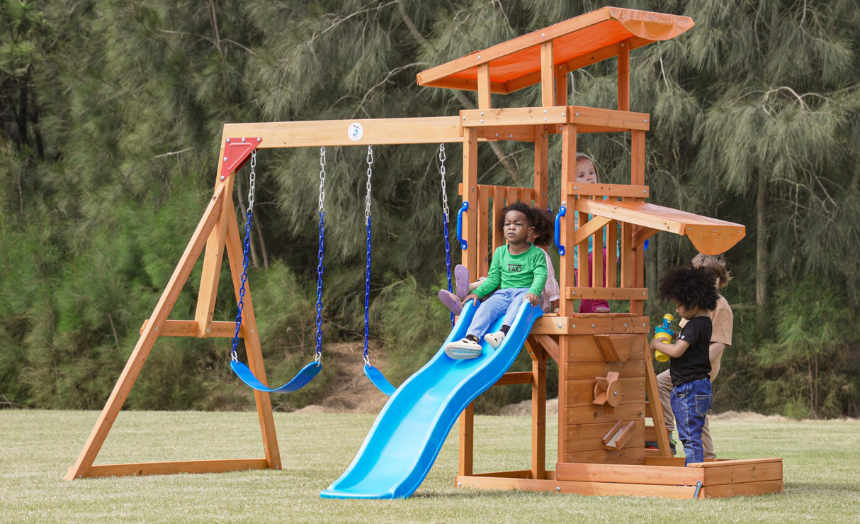 Dolphin Playground Outdoor Wooden Swing Sets for Backyard with Slide, Playground Sets for Backyards with Sandbox, Rock Climbing Wall, and 2 Belt Swings, Outdoor Playset for Kids Ages 3-6 DOLPHIN PLAYGROUND T