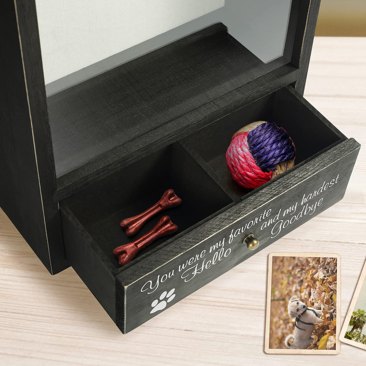 TJ.MOREE Dog Memorial Gifts - You were My Favorite Hello and My Hardest Goodbye Remembrance Picture Frame Shadow Box - Pet Sympathy Gifts for Loss of Dog TJ.MOREE