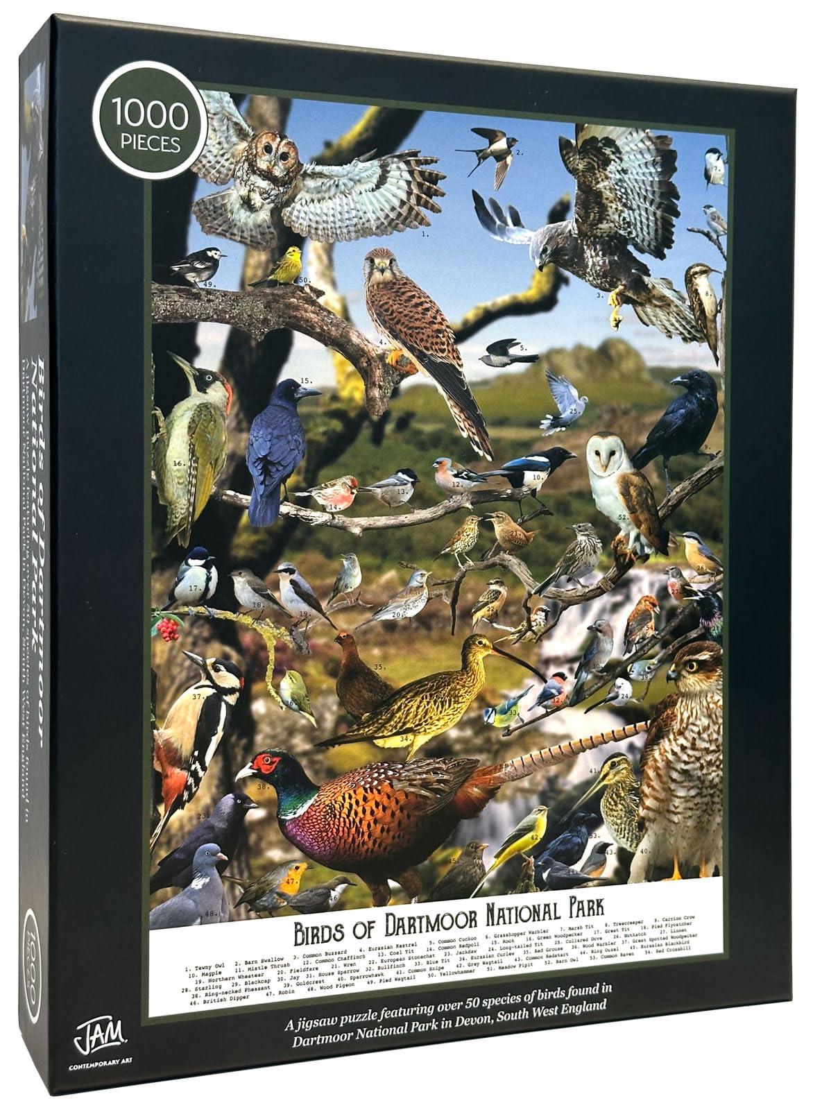 Bird Puzzles for Adults 1000 Pieces | Discover Birds of Dartmoor National Park - A 1000 Piece Puzzle for Adults | Gift for Nature and Wildlife Lovers | Adapted from an Original Art Collage Jam Contemporary Art
