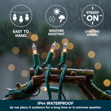 Joiedomi Clear Christmas String Lights Indoor,300(3x100) Mini Warm White Fairy Light,64.2 FT Lighting Decor for Patio Dorm Classroom Bedroom Holiday Wedding Party Garland Birthday Festival,Green Wire Joiedomi