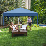 VINGLI 10x10 Pop Up Canopy Tent with Sidewalls, Outdoor Gazebo Canopy Tent, Patio Event Tents Outdoor Commercial Canopy for Parties (Blue) VINGLI