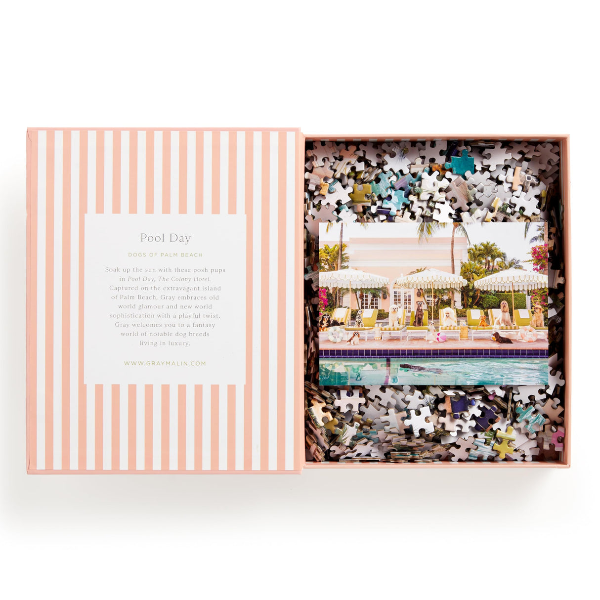 Galison Gray Malin Palm Beach – 1000 Piece Book Box Puzzle with Glamorous Palm Beach Dogs Photography Packaged in Magnetic Keepsake Book Sized Box Galison