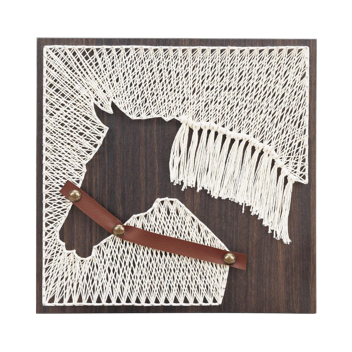 Blauwhim String Art Horse Craft, DIY Hobby Horse Crafts Kits for Adults, Teens, Craft Beginners, Gifts for Women Rustic Home Decor (12" x 12") Blauwhim