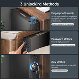 Eamiruo Vehicle Gun Safe for Handgun with Fingerprint, Keypad Lock, Key, Biometric Car Gun Safe for Pickup, SUV, Truck, Sedan and Hatchback, Quick Access Pistol Safe for Nightstand Beside EAMIRUO