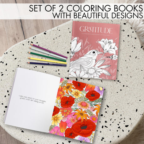 Beautiful Adult Coloring Book Set of 2 for Relaxation - Gratitude and Mindfulness Books with Inspirational Quotes Making it a Great Gift - Perfect Stress-Relieving Books Fun to Color for Women ZICOTO