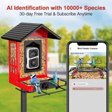 birdsnap® APS - Metal Bird Feeder with Camera Solar Panel 32GB Card, AI Identify 10000+ Birds Camera Feeder, 2K HD Live View Auto Record Bird Video, Ideal Xmas Gift for Bird Lovers birdsnap