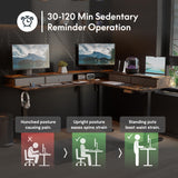 FLEXISPOT 63'' L Shaped Standing Desk Electric Corner Table with Shelf, 4 Storage Drawers, Adjustable Computer Workstation for Home, Office, Game, Studio, USB Charger, Rustic Brown Top + Black Frame FLEXISPOT