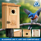 SISTERBIRD 2 Pack Bird Houses for Outside Clearance with Copper Guard, Cedar Bird House Outdoor, Bluebird Finch Swallow Wren Chickadee Assembly Required SISTERBIRD