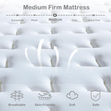 Lynnbery Queen Size Mattress, 12 Inch Hybrid Mattress with Memory Foam and Individual Pocket Springs for Motion Isolation, Pressure Relief, Medium Firm Feel, Mattress in a Box,60"*80"*12" Lynnbery