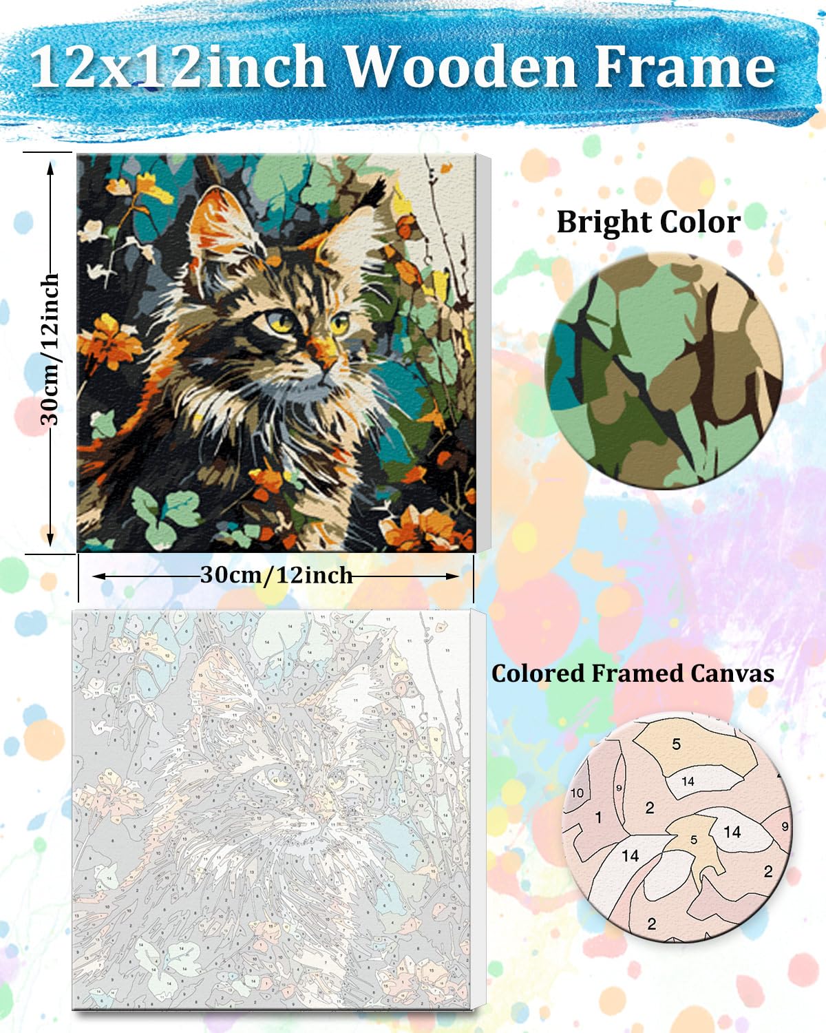 TOCARE Framed Paint by Numbers Kit for Adults Beginners, 12x12inch Cat Paint by Number with Frame,Easy Dragon Li Cat Paint by Numbers Framed Canvas(Without Easel) TOCARE