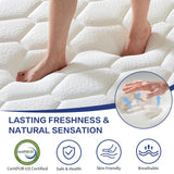 Niqooia Queen Size Mattresses, 12 Inch Hybrid Mattress in a Box, Memory Foam and Individual Pocket Springs, Soft and Breathable, Fiberglass Free, CertiPUR-US Certified, Cooling Queen Mattresses Niqooia