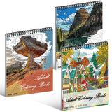 Kalysky Landscapes Adult Coloring Book Set of 3 – Complex Nature Landscapes & Iconic Architecture | Desert, Ocean Forests, Modern Wonders | Coloring Books for Adults Relaxation (8.25” x 11”) Kalysky