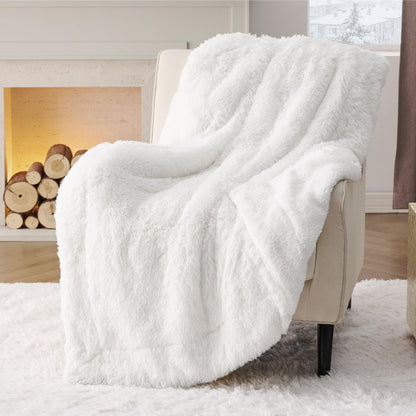 Bedsure Soft White Throw Blanket for Couch, Fluffy White Blankets Fuzzy Fleece Blanket for Sofa Chair, Cozy Sherpa Faux Fur Blanket, White Decor Christmas Blanket White Gifts for Women, Girls, 50x60