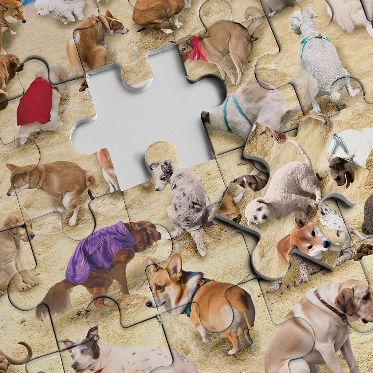 Pooping Dog Puzzles Dogs 1000 Piece Puzzle for Adults, Beach Dog Jigsaw Puzzle Animal Puzzles, Gag Prank Dog Puzzle as Funny Home Party Decorations BBOLDIN