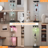 LFT HUIMEI2Y Glass Display Cabinet with LED Lights and Lock, 4-Shelf Curio Cabinets with Door, Tempered Glass Collection Display Showcase for Bedroom, Living Room 65”x 17”x 14.5” Black LFT HUIMEI2Y