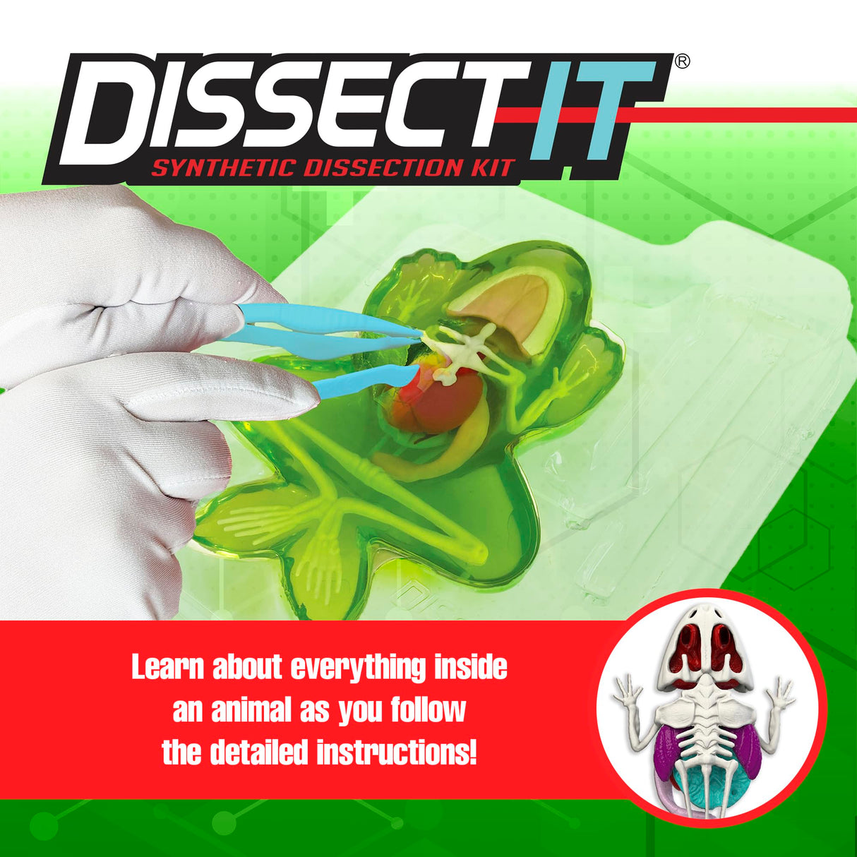 Dissect-It Simulated Synthetic Lab Dissection Toy, STEM Projects for Kids Ages 6 and Up, Animal Science, Biology, Anatomy Home Learning Kit, Great for Young Scientists! – Frog Dissect It