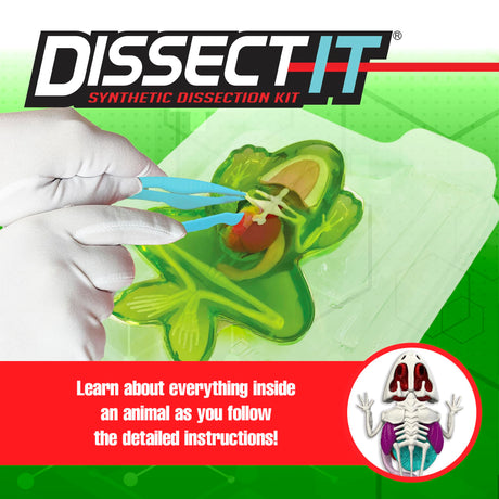 Dissect-It Simulated Synthetic Lab Dissection Toy, STEM Projects for Kids Ages 6 and Up, Animal Science, Biology, Anatomy Home Learning Kit, Great for Young Scientists! – Frog Dissect It