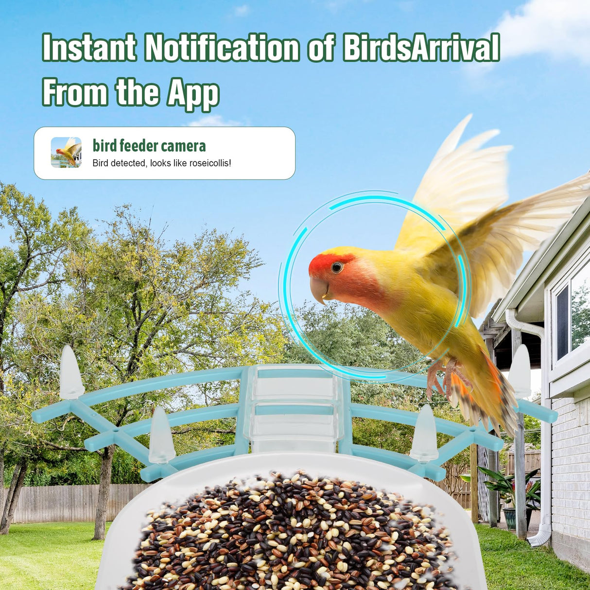 Bird Feeder with Camera,AI Identify Birds Species,Solar Powered,Auto Record Videos in Backyard,Instant Notifications,Ideal Gift for Family and Bird Lovers ANMESC