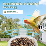 Bird Feeder with Camera,AI Identify Birds Species,Solar Powered,Auto Record Videos in Backyard,Instant Notifications,Ideal Gift for Family and Bird Lovers ANMESC