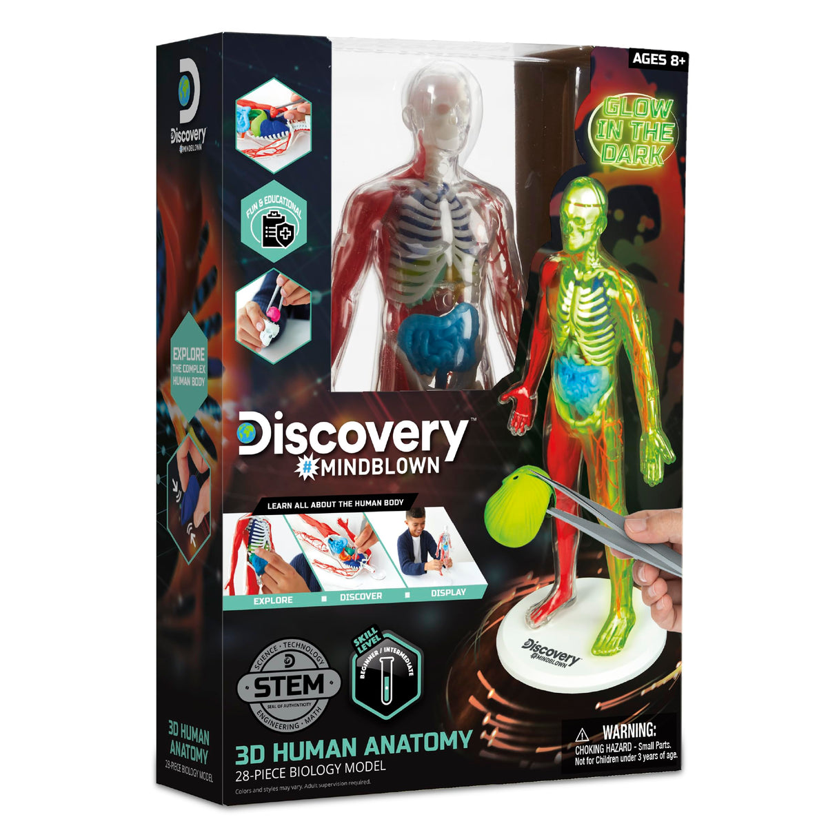Discovery™ 3D Human Anatomy 28-Piece Biology Model with Glow-in-The-Dark Human Model, Hands on Learning, Age 8+ Discovery Kids