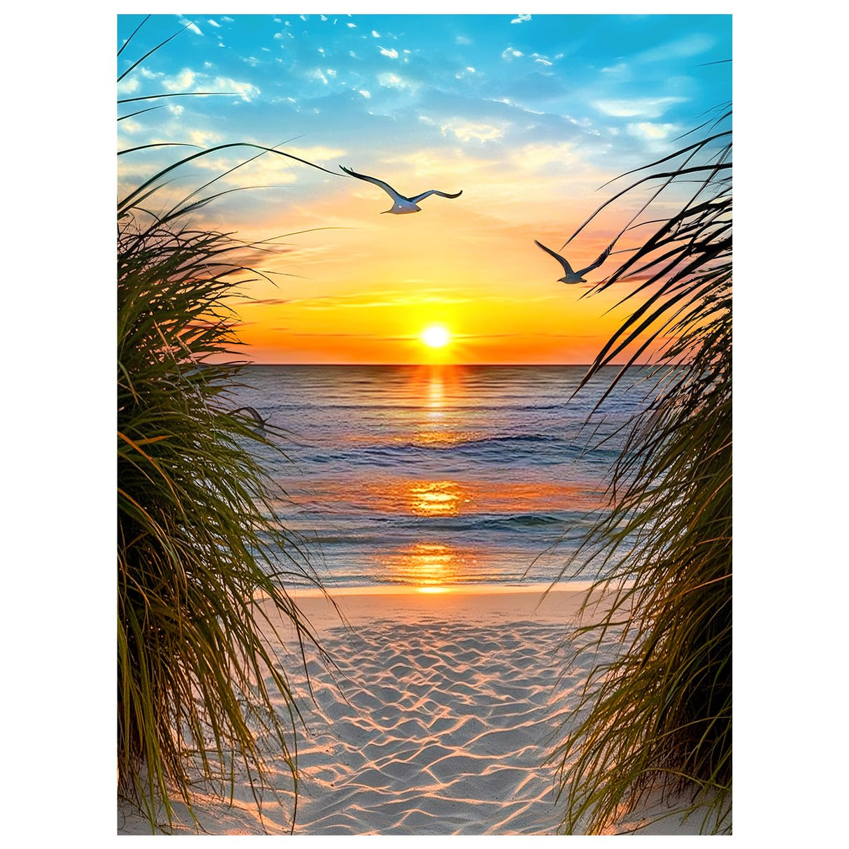 NPCSWXQ Sunset on The Beach Diamond Art Kits for Adults, Seaside Reeds 5D Diamond Dots Kits for Adults Beginners, DIY Full Drill Paint Art Kits for Home Wall Bedroom or Office Decor Gift 12x16Inch NPCSWXQ