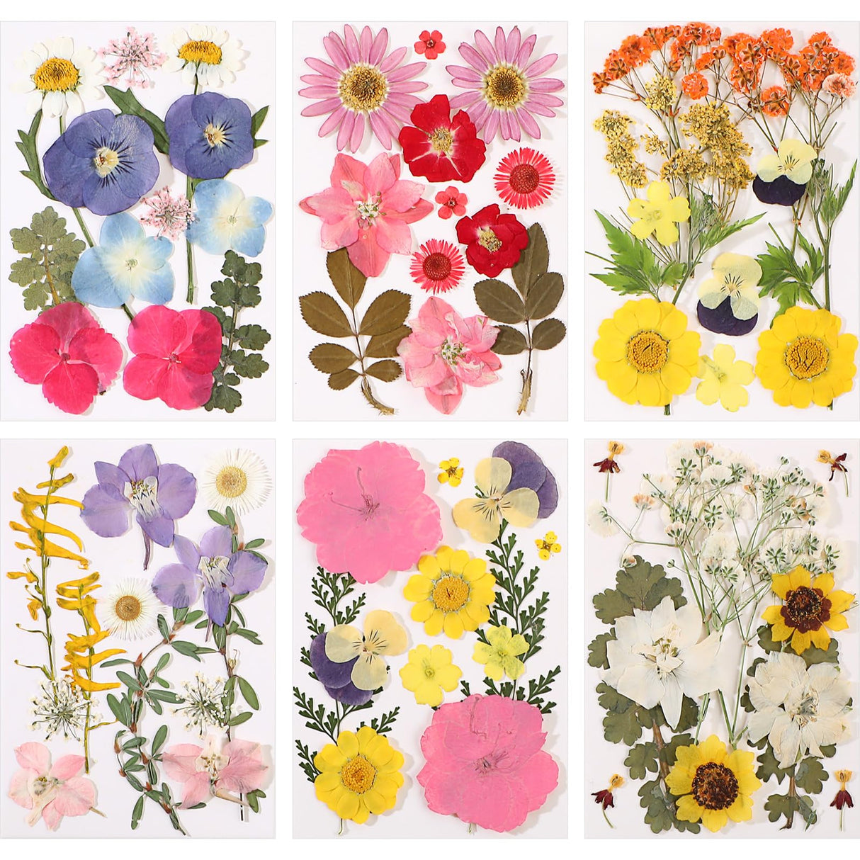 eBoot 72 Pcs Dried Pressed Flowers for Resin Molds Real Pressed Flowers Dry Leaves Bulk Natural Herbs Kit for Scrapbooking DIY Art Crafts Jewelry Molds Candle Soap Making Nails Decor(Fresh Style) EBOOT