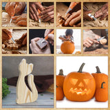 AUGSUN Wood Carving Kit, 17 Pack Wood Whittling Kit Hand Carving Knife Tools Set for DIY Sculpture Carpenter Experts & Beginners AUGSUN