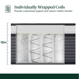 ZINUS 12 Inch True Support Hybrid Mattress [New Version], Full, Fiberglass Free, Medium Feel, Motion Isolation, Certified Safe Foams & Fabric, Mattress in A Box ZINUS