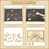 Dinosaur Excavation Archaeology Dig Kit for Kids, Fossil Explore Sensory Bin Toys, Dino Skeletons Bones Puzzle Game, Archaeology Science STEM Toys for Boys and Girls (Stegosaurus) Xylolin